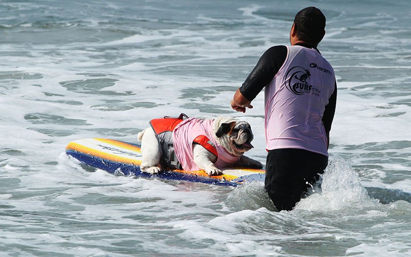 surfing