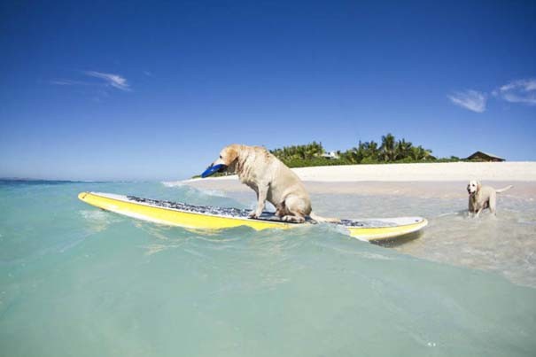 surfing