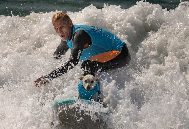 surfing