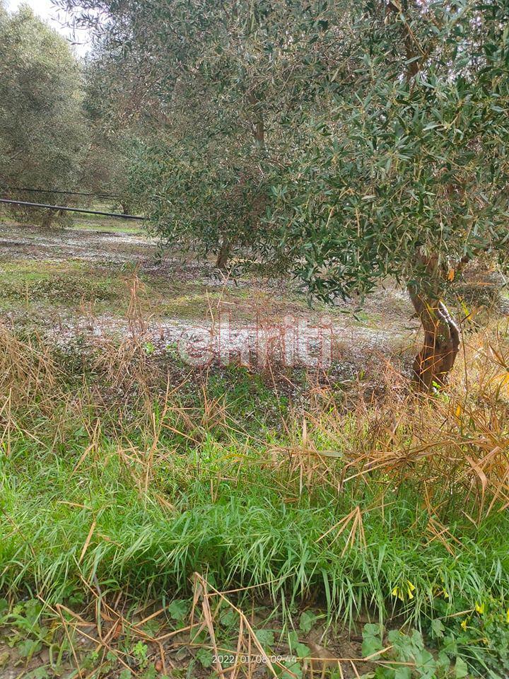 Κρήτη: Έριξε χαλάζι σε μέγεθος καρυδιού στο Ηράκλειο 