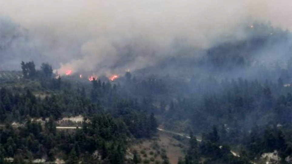 Mεγάλη πυρκαγιά στην Κασσάνδρα Χαλκιδικής