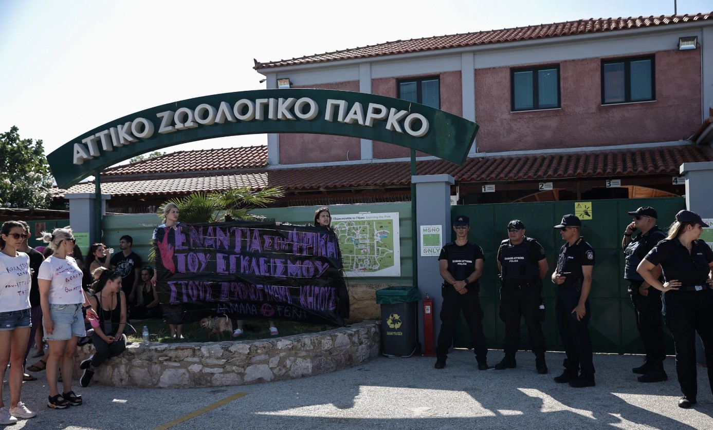 Αττικό Ζωολογικό Πάρκο: Διαμαρτυρία για τη θανάτωση του χιμπατζή