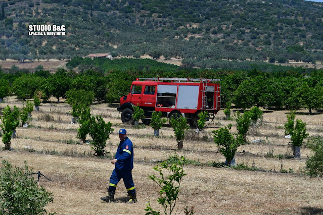 Φωτιά στην Αργολίδα: Στις φλόγες γεωργική έκταση στην περιοχή Φίχτι