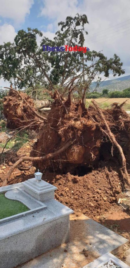 Σέρρες: Μεγάλες καταστροφές σε καλλιέργειες από την κακοκαιρία