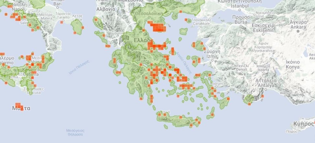 Σε ποιες παραλίες της Αττικής εμφανίστηκαν μωβ μέδουσες