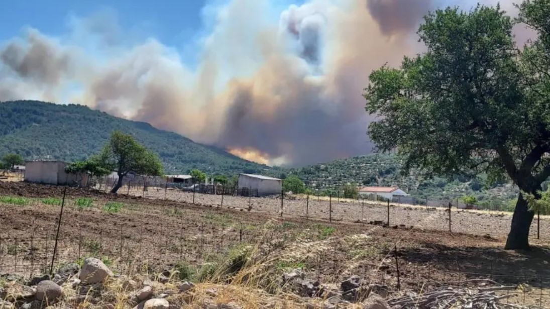 Λέσβος: Μεγάλη φωτιά στα Βατερά