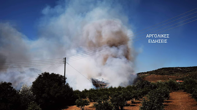 Μεγάλη φωτιά στην Αργολίδα: Κοντά σε κατοικημένες περιοχές - Εκκενώθηκε ξενοδοχείο