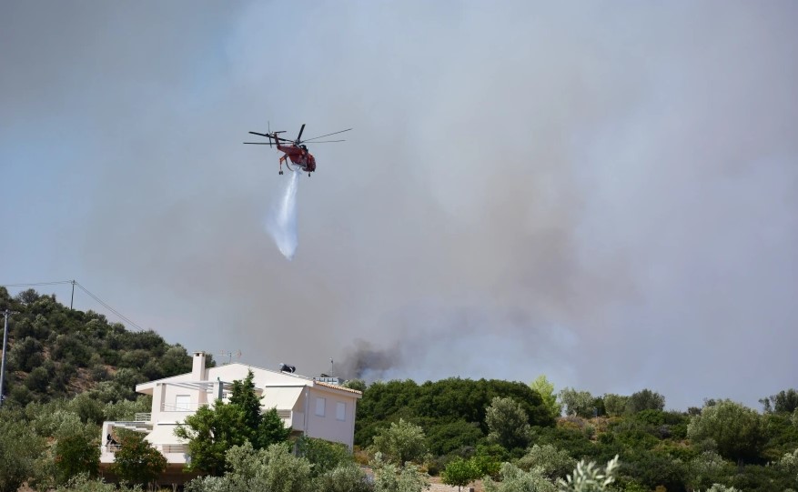 Φωτιά στην Αργολίδα - Κοντά σε κατοικημένες περιοχές