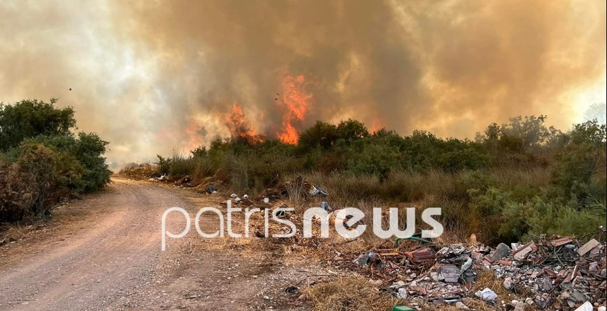 Πυρκαγιά στην Ηλεία: Κοντά στα σπίτια οι φλόγες