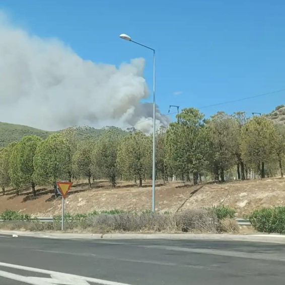 Φωτιά στη Νέα Πέραμο