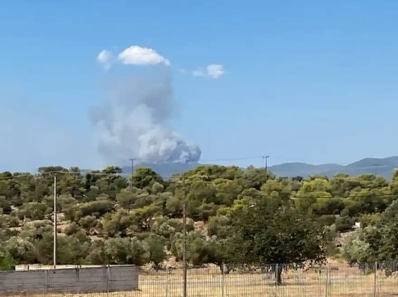 Φωτιά στη Νέα Πέραμο