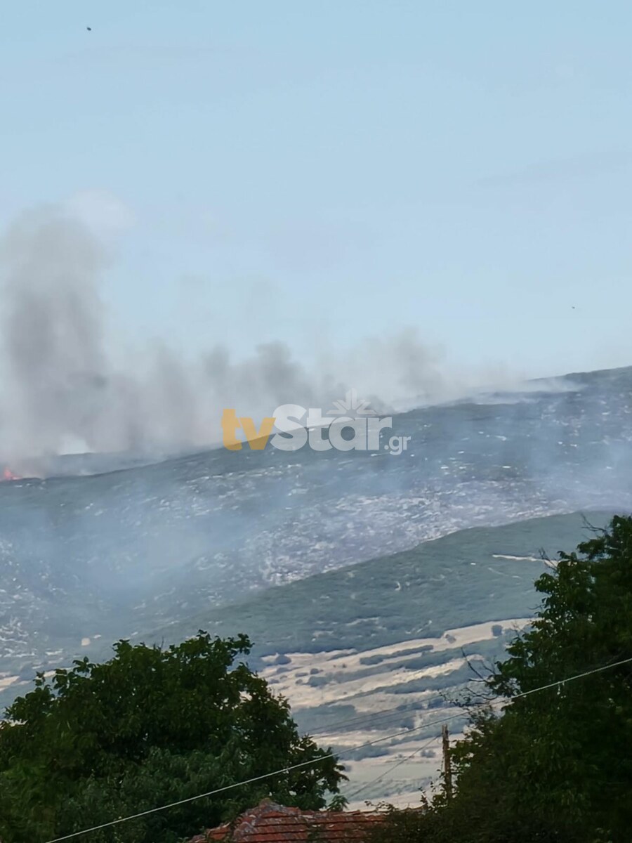 Φωτιά στο Πετρωτό Δομοκoύ – Πολλά μέτωπα από τους ισχυρούς ανέμους 