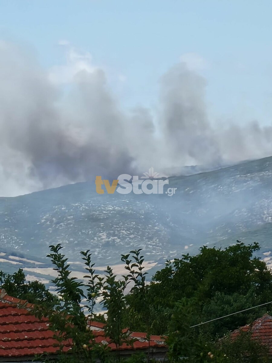 Φωτιά στο Πετρωτό Δομοκoύ – Πολλά μέτωπα από τους ισχυρούς ανέμους 