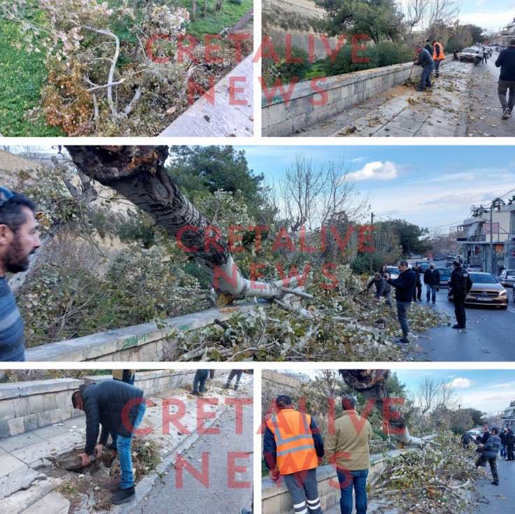 Ηράκλειο: Τραυματίστηκε 71χρονος έπειτα από πτώση δέντρου