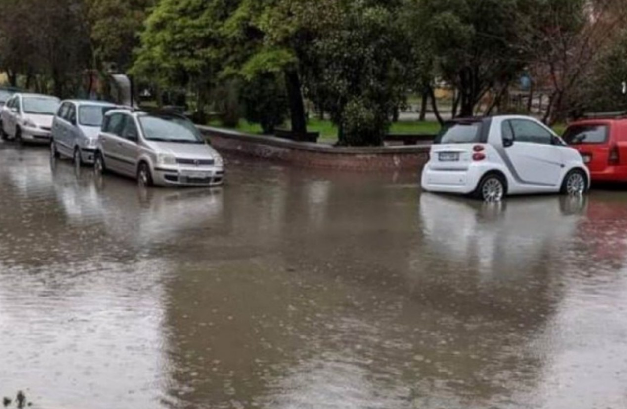 Κακοκαιρία στην Λέσβο: Πτώσεις δέντρων και κατολισθήσεις βράχων 