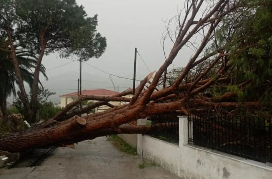 Κακοκαιρία στην Λέσβο: Πτώσεις δέντρων και κατολισθήσεις βράχων 