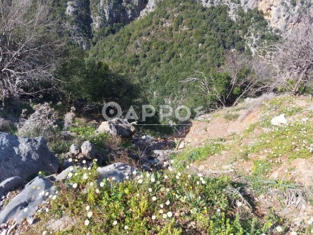 Μεσσηνία: Νεκροί οι δύο Αμερικανοί αγνοούμενοι