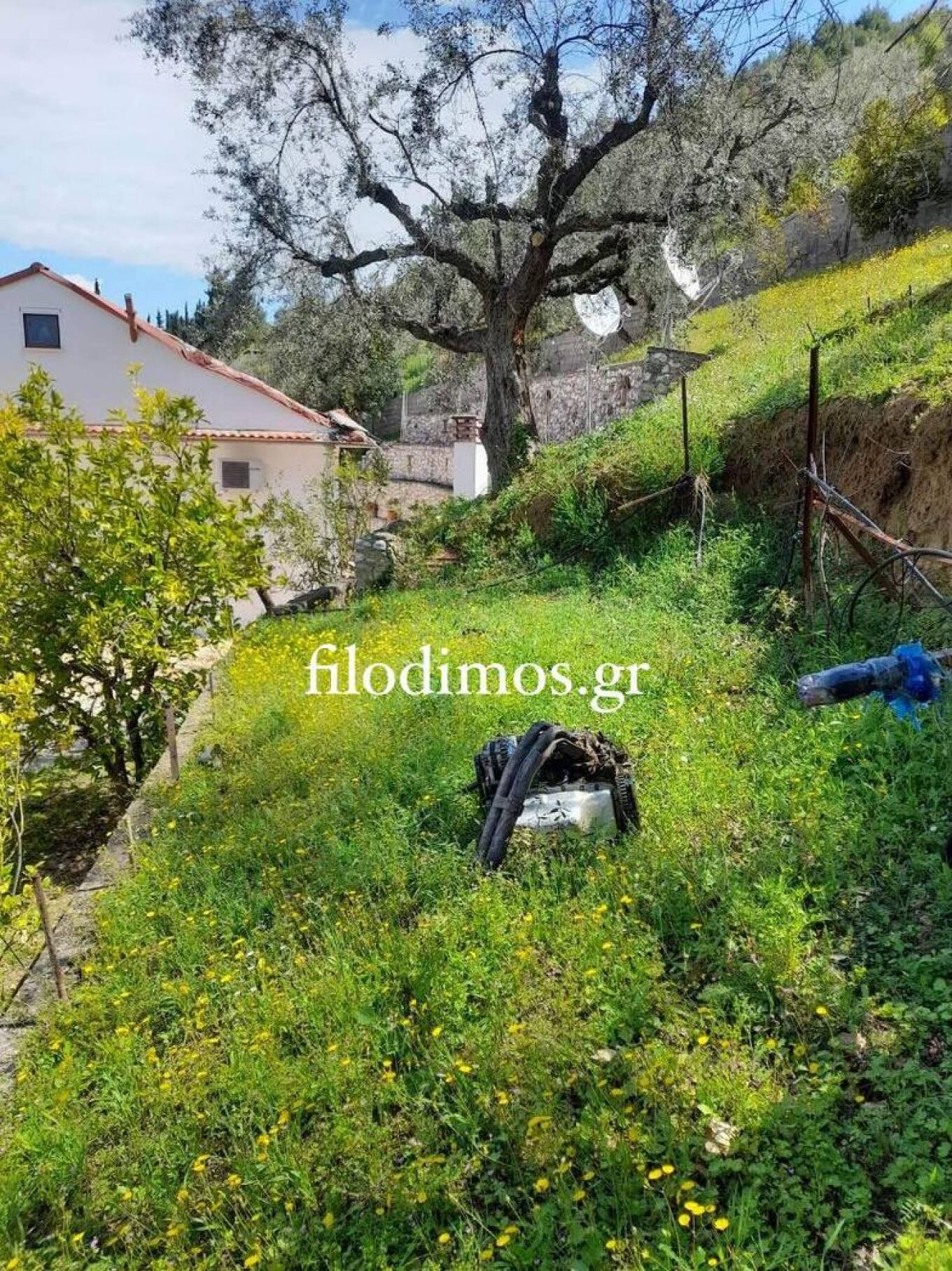 Αίγιο: Αγωνιστικό αυτοκίνητο έπεσε σε αυλή σπιτιού