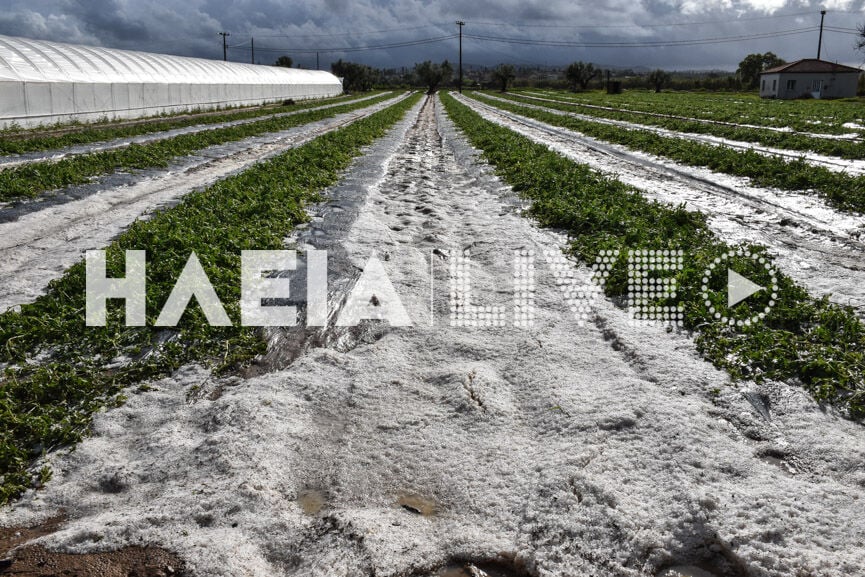 Ηλεία: Μεγάλες καταστροφές σε καλλιέργειες από σφοδρή χαλαζόπτωση