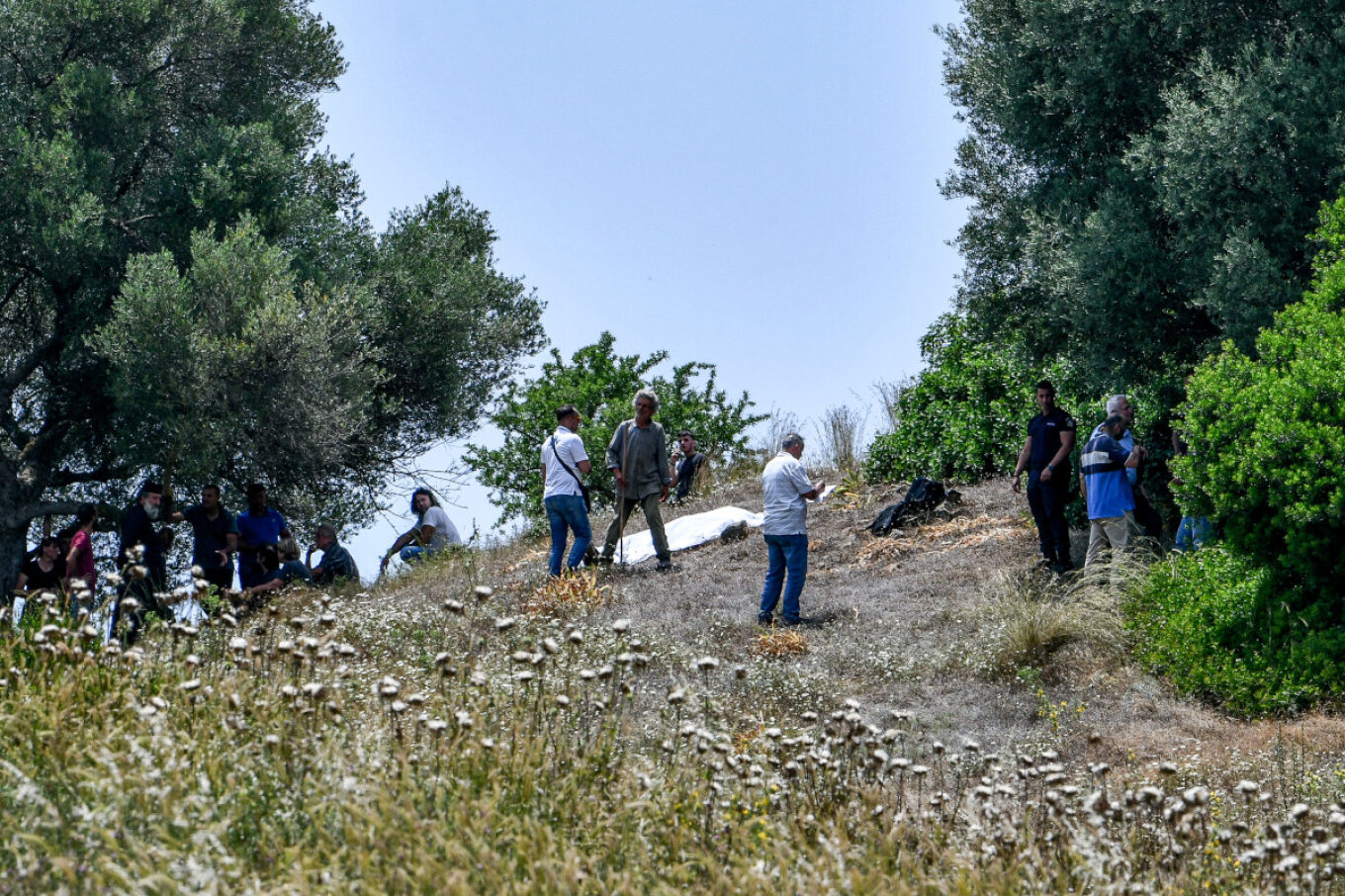 Ηλεία: Η αιτία του φονικού