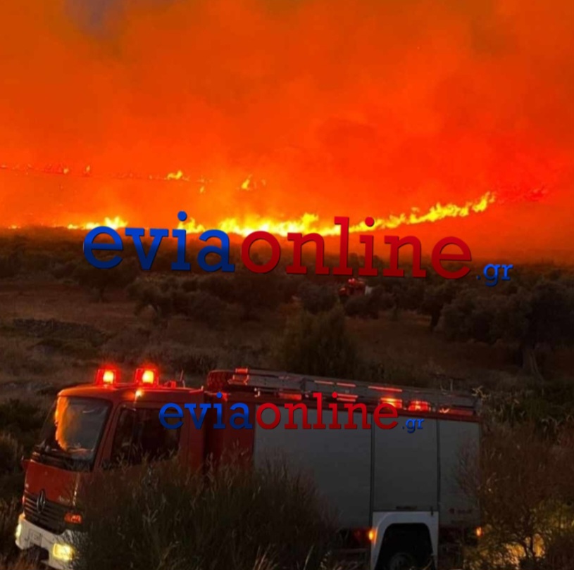 Φωτιά στο Αλιβέρι Εύβοιας - Δίπλα από εργοστάσιο της ΔΕΗ οι φλόγες