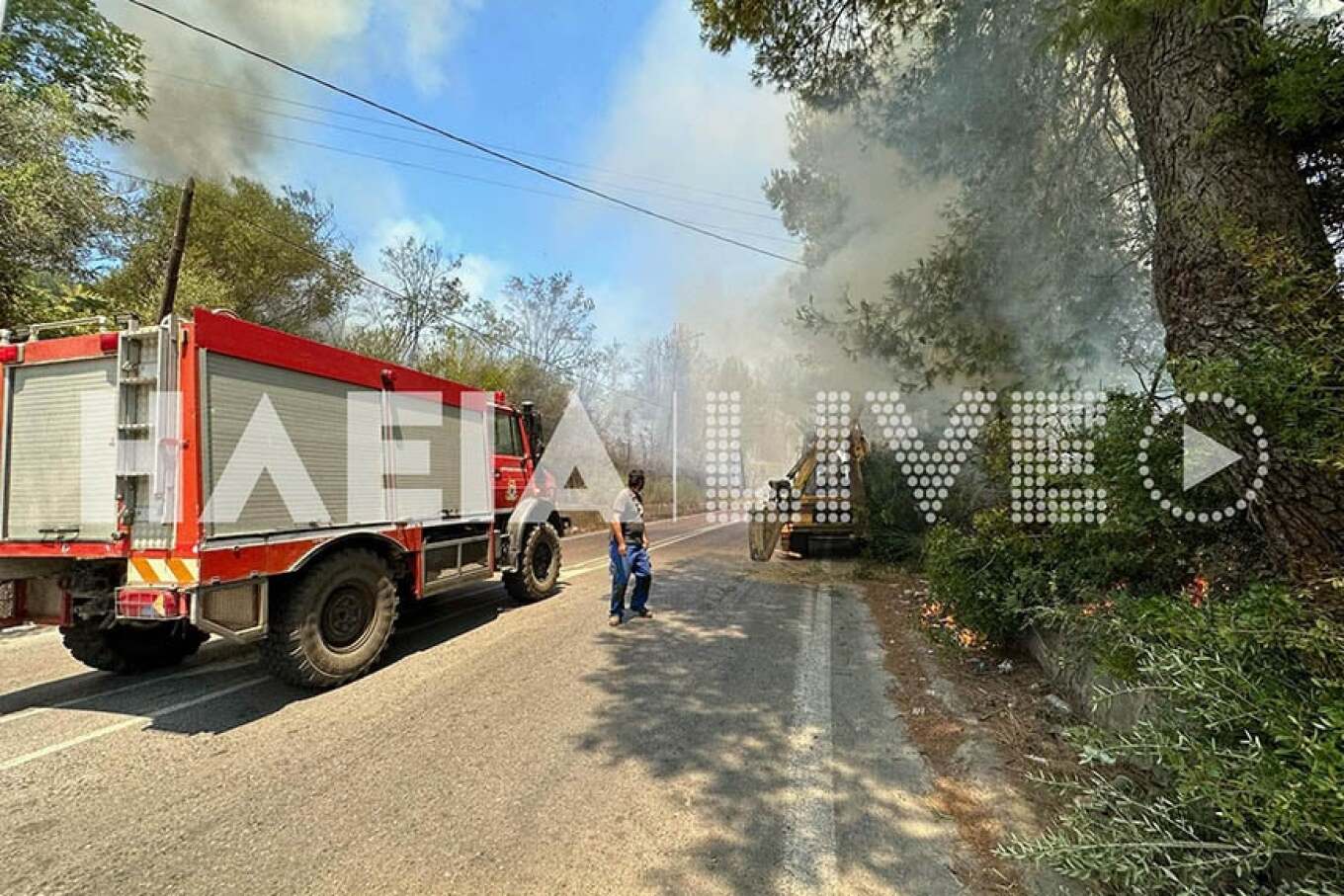 Ηλεία: Μεγάλη πυρκαγιά στην Παλαιοβαρβάσαινα