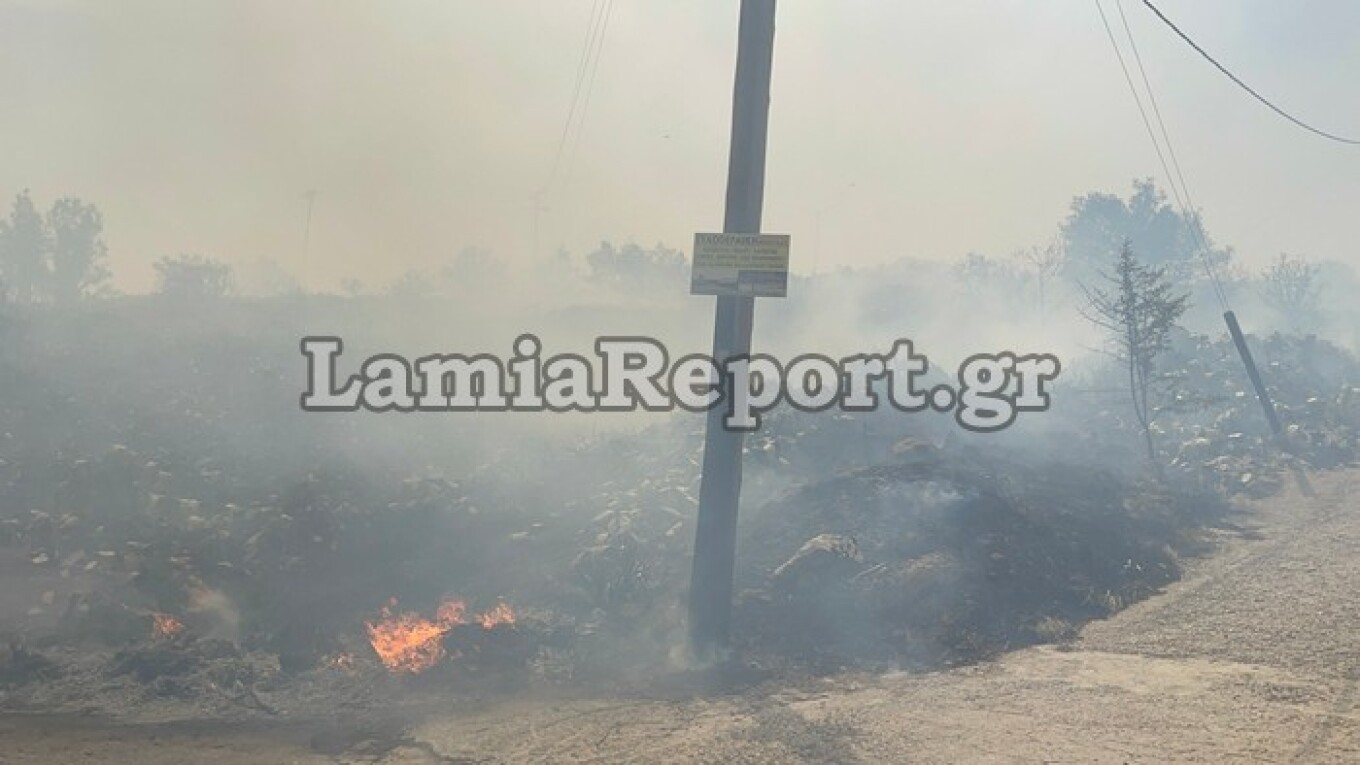 Φωτιά στη Λαμία: Κάηκαν σπίτια - Εκκενώνεται το βόρειο τμήμα