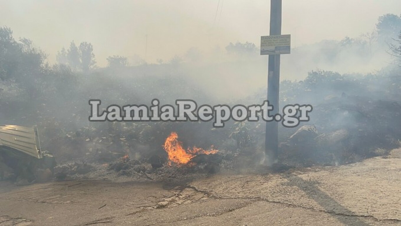 Φωτιά στη Λαμία: Κάηκαν σπίτια - Εκκενώνεται το βόρειο τμήμα