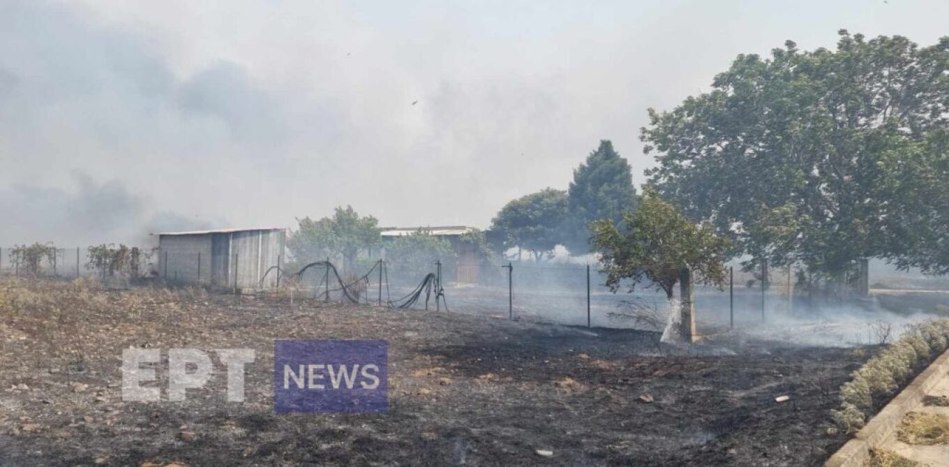 Φωτιά στο Βελεστίνο: Κάηκαν σπίτια στον Άγιο Γεώργιο Φερών