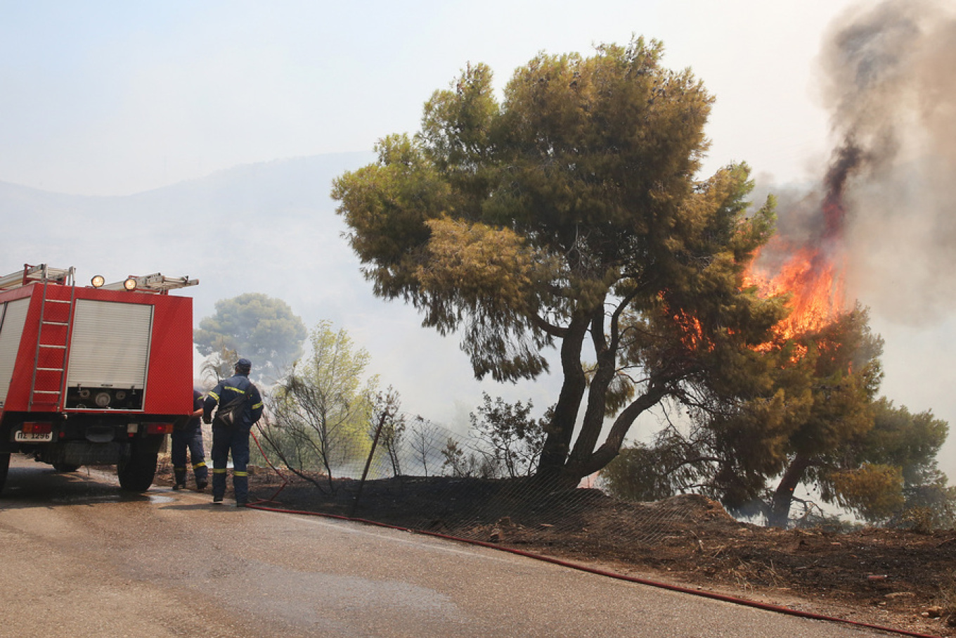 Μέγαρα: Αναζωπύρωση της φωτιάς