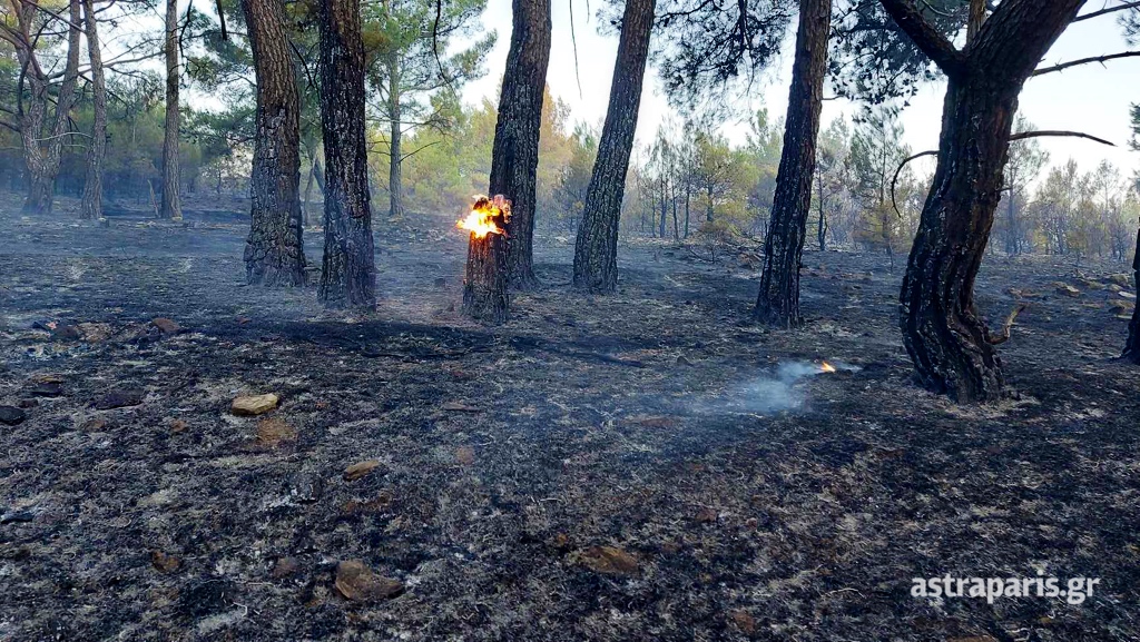 Χίος: Βελτιωμένη η εικόνα της πυρκαγιάς