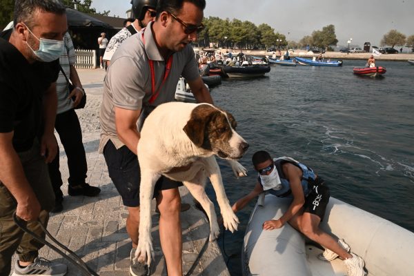 Φωτιά στη Μαγνησία: Εκκενώνεται από τη θάλασσα η Νέα Αγχίαλος 