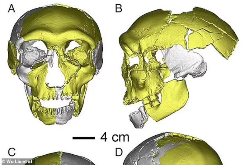 Κίνα: Ανακαλύφθηκε κρανίο 300.000 ετών 