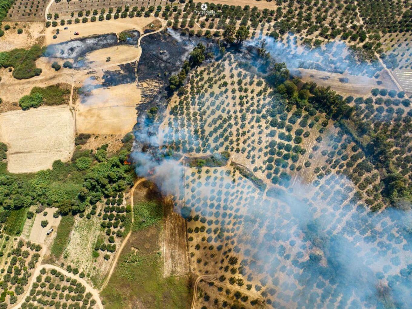 Κρήτη: Φωτιά στα Κάτω Καλύβια Ηρακλείου