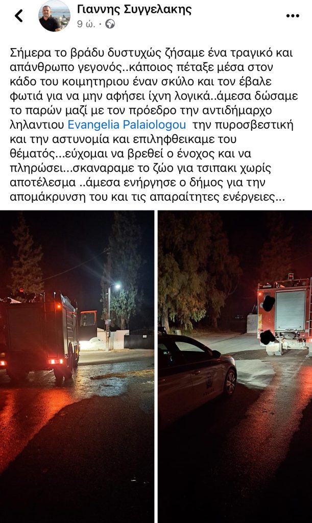 Εύβοια: Έκαψαν σκύλο μέσα σε κάδο απορριμμάτων