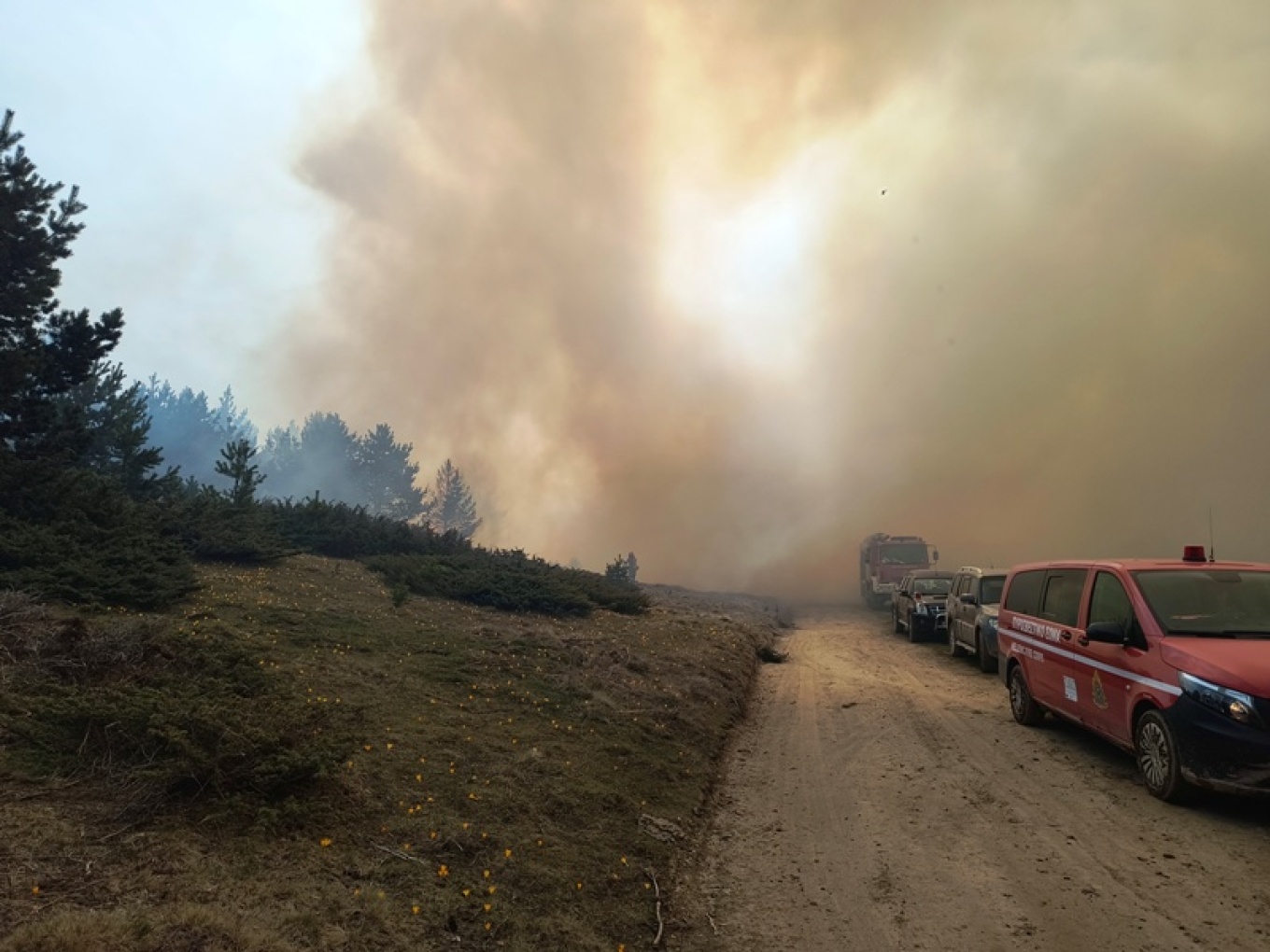 Φωτιά στα Πιέρια Όρη: Χωρίς ενιαίο ενεργό μέτωπο