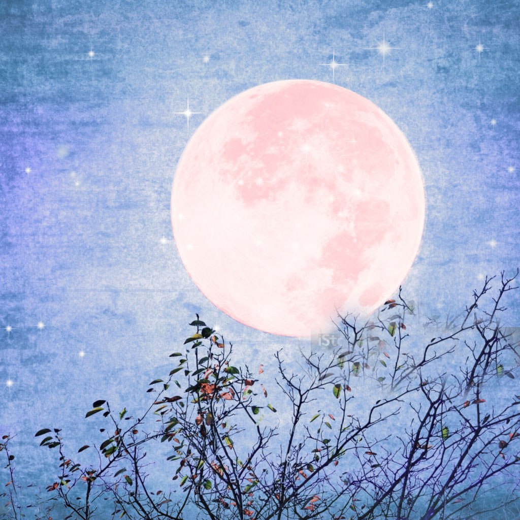 pinkmoon