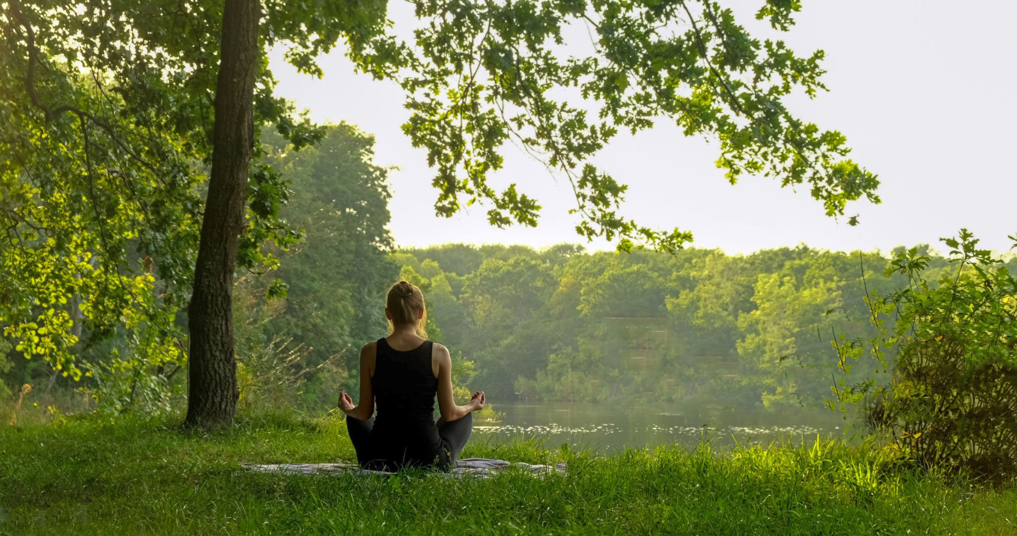 meditation 