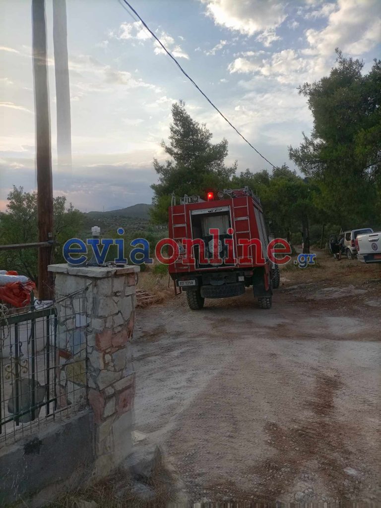 Εύβοια: Φωτιά από κεραυνό στο χωριό Φύλλα