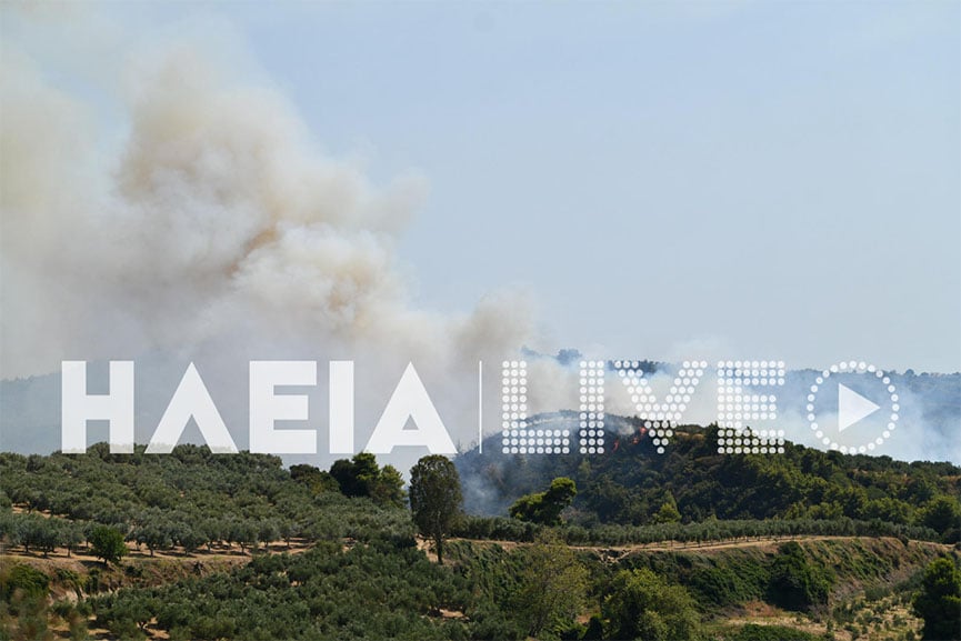 Ηλεία: Φωτιά σε δασική έκταση στην Ανάληψη