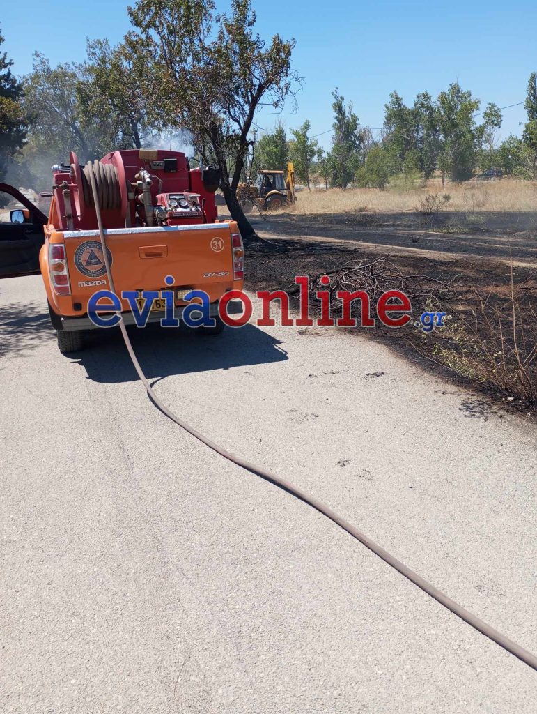 Εύβοια: Φωτιά στον Περιφερειακό της Ερέτριας 