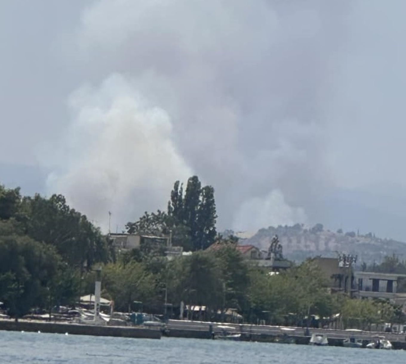 Φωτιά στο Συκάμινο Ωρωπού